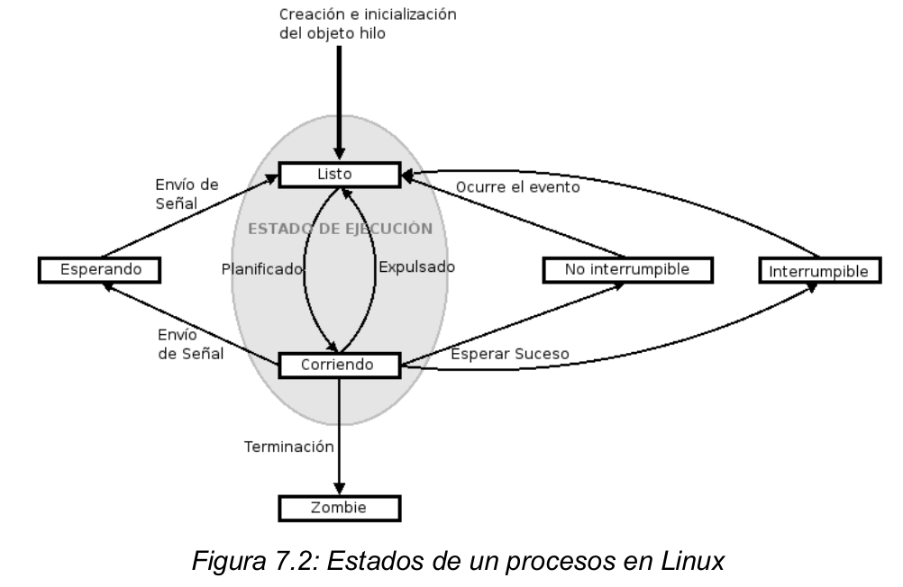  procesos en linux estados