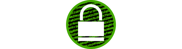 petwrap petya ransomware linux security infosec hack hacking openssl ssl x509 x.509 crypto certificado certificate digital signature pem cert crt cer der