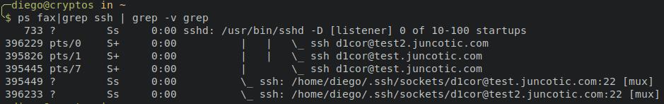 reutilizar conexiones SSH procesos
