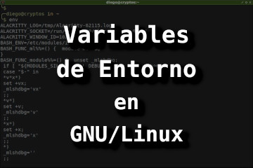 ENVVARS (variables de entorno) en GNU/Linux